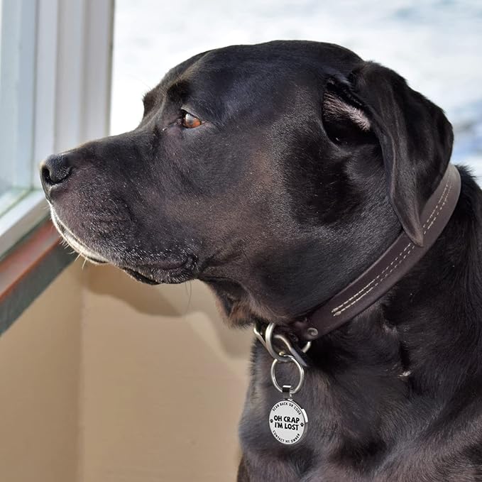 MYLUCKYTAG QR Code Dog Tags - Scan for Instant Pet Location Alert Email