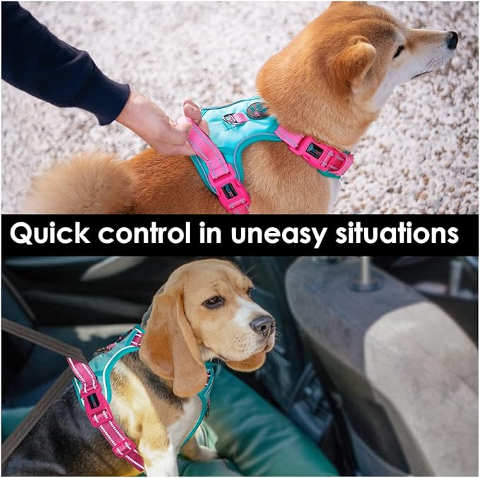 PHOEPET No Pull Dog Harness, Unique Colors Reflective Adjustable Dog Vest, with Soft Training Handle Metal Clips for Small Medium Large Dogs (Mint Green Base & Pink Straps,XS)