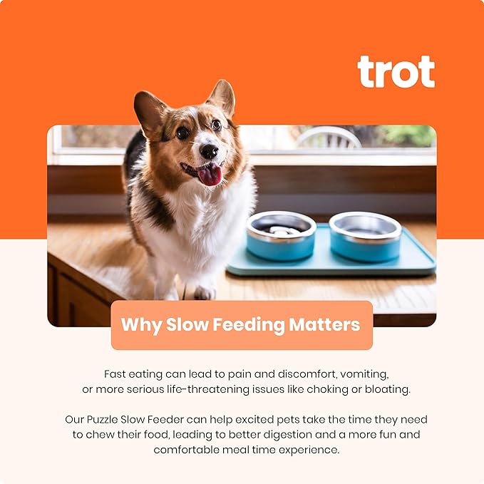 Trot Pets Premium Dog Bowls | Stainless Steel Bowl Set for Small, Medium, or Large Dogs | Non-Slip Food and & Water Slow Feeder | Durable, BPA-Free, Anti-Skid, Dishwasher Safe (Sky, Medium)