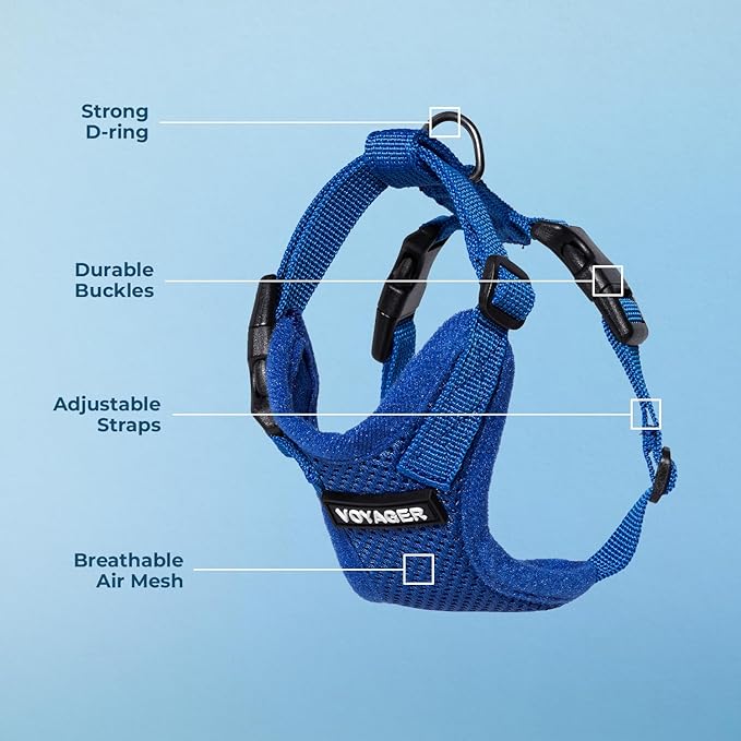 Voyager Escape-Proof Step-in Lock Cat Harness & 5ft Neoprene-Handle Leash Set All-Weather Mesh with Reflective Stitching for Small to Large Cats by Best Pet Supplies, Royal Blue, XS