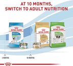 Royal Canin Size Health Nutrition X-Small Puppy Dry Dog Food, 3 lb Bag