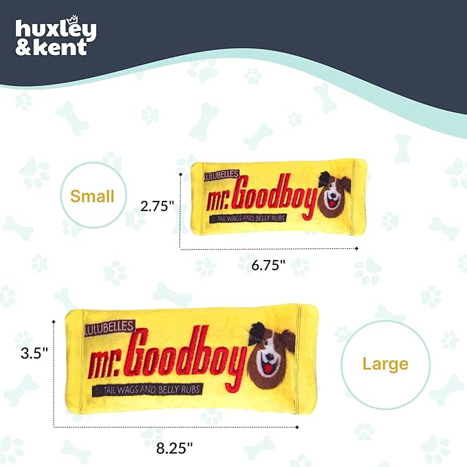 Huxley & Kent Funny Dog Toy w/Squeaker – Power Plush Squeaky Dog Toys for Small, Medium & Large Dogs – Soft Stuffed Animal for Indoor Play & Fetch - Mr Goodboy, Small