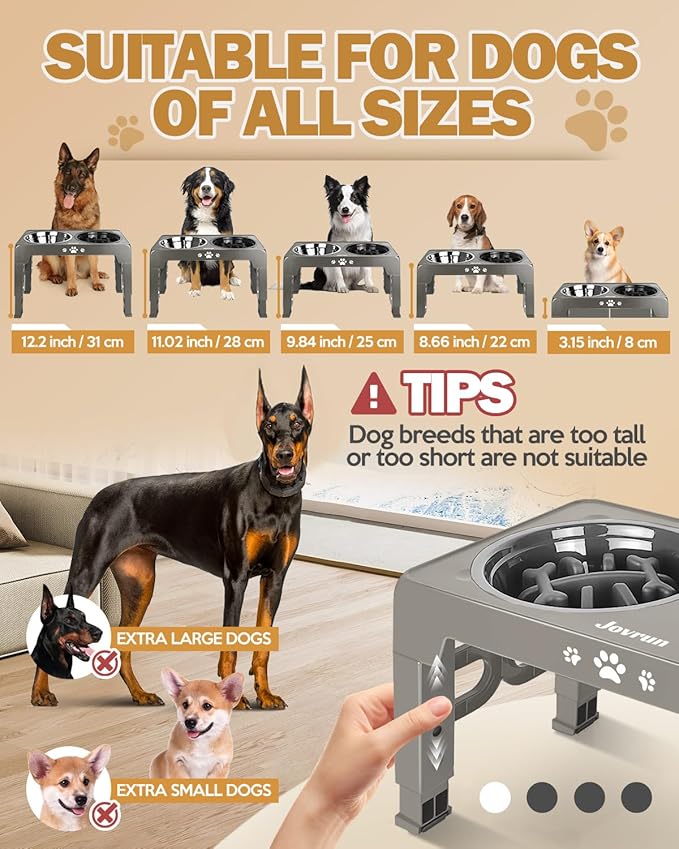 Elevated Dog Bowls, Dog Feeder with 2 Stainless Steel Dishes &1 Slow Feeder Bowl, 5 Heights Adjustable Raised Stand for Medium Large, Food Dishes with Non-Slip Feet