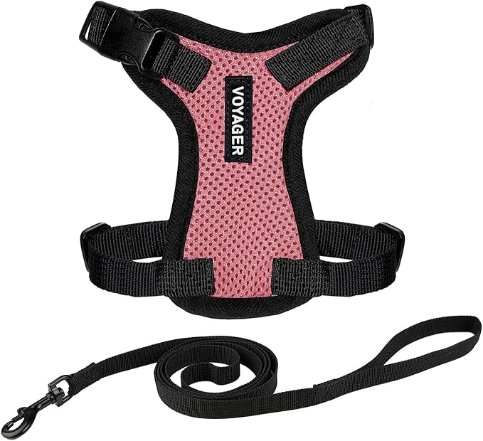 Voyager Escape-Proof Step-in Lock Cat Harness & 5ft Neoprene-Handle Leash Set All-Weather Mesh with Reflective Stitching for Small to Large Cats by Best Pet Supplies, Pink/Black Trim, XS