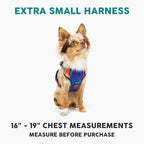 Embark Adventure Dog Harness, No-Pull Reflective Trim Dog Harness for Small, Medium & Large Dogs - Heavy Duty Oxford, 2 Leash Clips & Gel Lined Handle. Soft & Padded Puppy Dog Vest for Any Breed