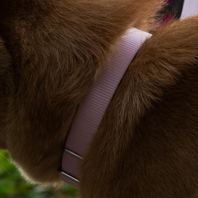 Hyhug Martingale Collar for Dogs Extra Large Pink |Escape - Proof Heavy Duty Nylon Durable No Pull, Ideal for Training & Daily Walks