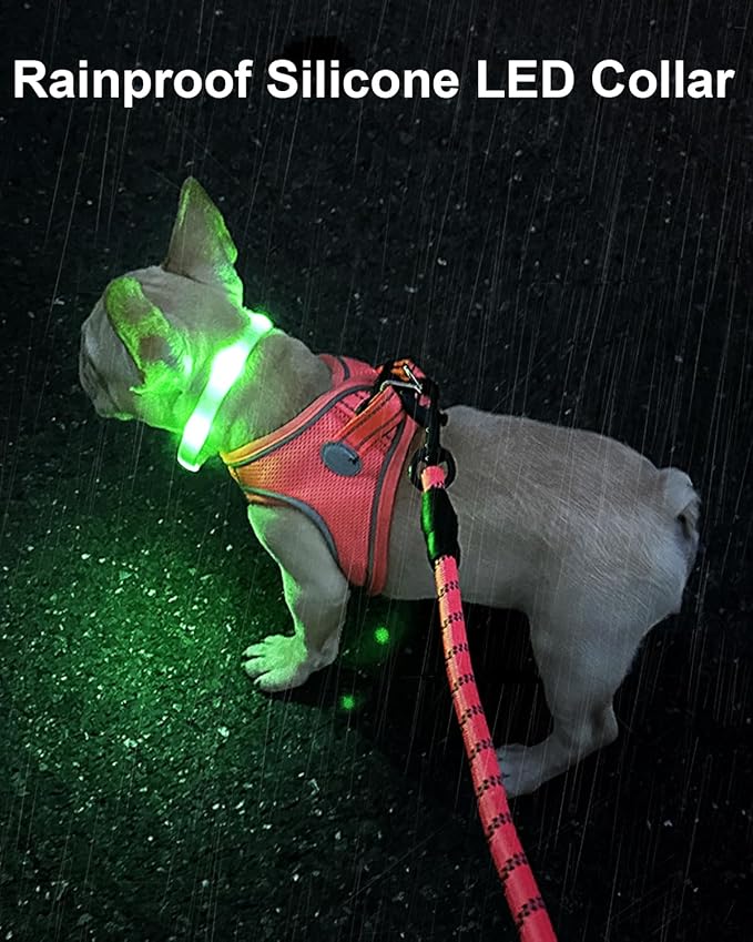 Joytale Light Up Dog Collar, Rainproof and Rechargeable LED, 9 Flashing Modes, Glow for Night Walking, Cuttable Soft Silicone Collar for Small and Medium Dogs, 17.7 Inch