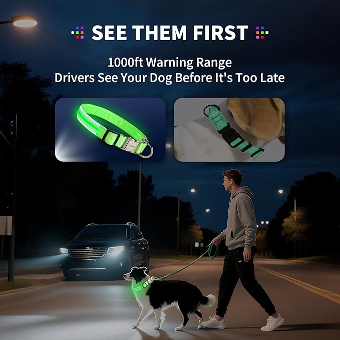 LED Dog Collar with Metal Buckle - USB Rechargeable Glow Collar for Dogs, Waterproof Light Up Dog Collar w/Reflective Strips - Adjustable Night Safety Collars by PetIsay(Purple,Large)