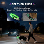 LED Dog Collar with Metal Buckle - USB Rechargeable Glow Collar for Dogs, Waterproof Light Up Dog Collar w/Reflective Strips - Adjustable Night Safety Collars by PetIsay(Green, Small)