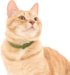 Breakaway Cat Collar - Soft, Comfortable, and Lightweight Safety Buckle Collar with Name Tag Ring for Outdoor Cats and Sensitive Skin Kittens by Nuvuq (6 ⅞" to 10 ¼", Green)