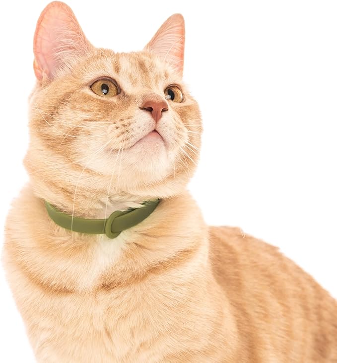Breakaway Cat Collar - Soft, Comfortable, and Lightweight Safety Buckle Collar with Name Tag Ring for Outdoor Cats and Sensitive Skin Kittens by Nuvuq (6 ⅞" to 10 ¼", Green)