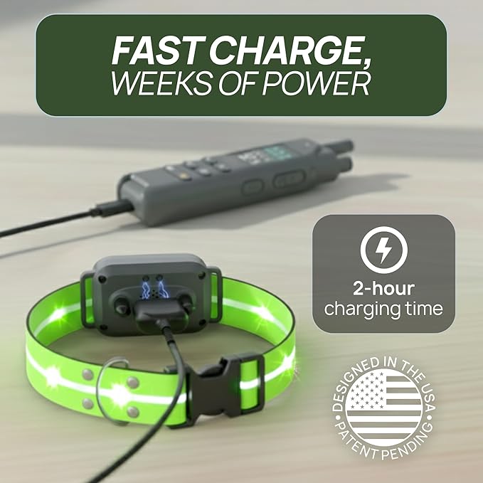 2-in-1 Dog Shock Collar with Remote & 360° LED Safety Lights – 4200FT Range Dog Training Collar, IPX7 Waterproof, 4 Training Modes, Rechargeable E-Collar for Small Medium & Large Dogs (10-120lbs)