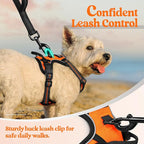 rabbitgoo Dog Harness No Pull with 2 Leash Clips, Adjustable Soft Padded, Reflective Oxford No Choke Pet Vest with Easy Control Handle for Puppy, Orange,XS
