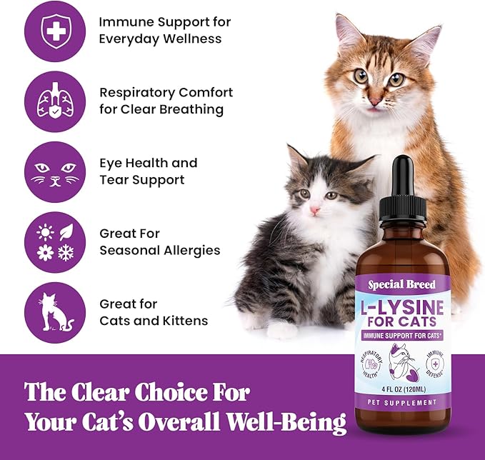 Special Breed L-Lysine for Cats & Kittens – Immune, Respiratory & Eye Health Support – Liquid Cat Supplement with Astragalus, Burdock, Atractylodes, Dangshen & Vitamins A, B1, B2, B6 – 4oz (120mL)