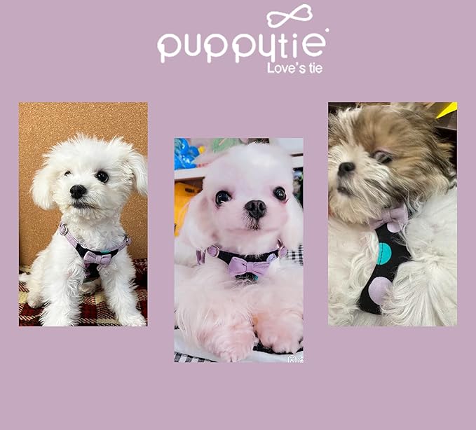 Puppytie No Pull Dog Harness with Multifunction Dog Leash,Soft Adjustable No Choke Escape Proof Pet Harness Vest for Medium Dogs,Polka dots Taro Purple,M