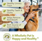 Wholistic Pet Organics WholeCran Intense: Organic Cranberry Powder for Dogs Urinary Tract Support Kidney Support for Dogs UTI Treatment Vitamin C and Antioxidants Dog Incontinence Product