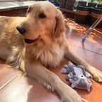 Jalousie Multipack Dog Squeaky Toys Strong Almost Indestructible, with Added Liner for Longer Play Dog Chew Toys (3 Pack - XLarge)