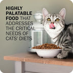 Redbarn Air Dried Powerfood for Cats with Real Chicken – Made in USA High Protein, Grain-Free Dry Cat Kitten Food Full Meal or Topper for Picky Eaters Supports Energy & Healthy Skin Coat – 2 lb Bag