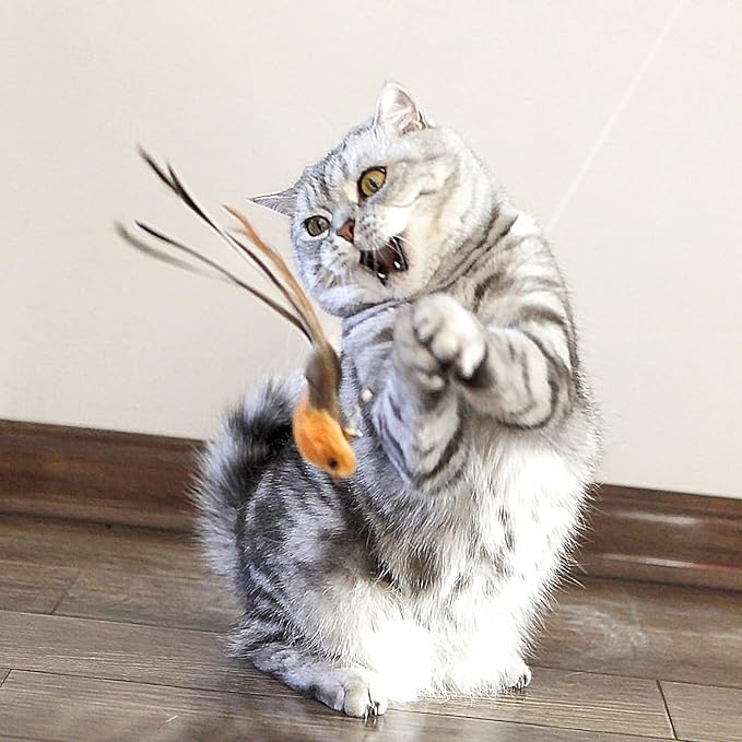 Interactive Cat Wand Toy Set – 2 Retractable Wands (38" & 50") with 11 Refills Attachments – Feather Toys, Plush Bird, Worms, Insect & Swallow – Cat Teaser Toys for Indoor Cats & Kittens