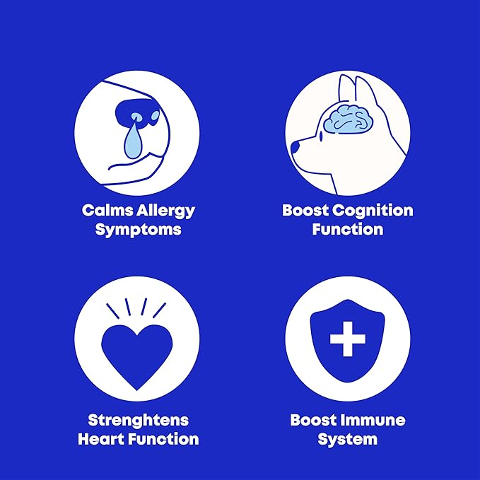 Wild Alaskan Salmon & Pollock Oil for Dogs – Itchy Skin, Shedding, Allergy & Joint Relief – NASC Certified Omega 3s – 8oz Liquid Food Topper – Club Hachiko