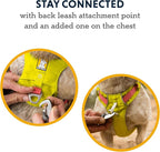 Ruffwear, Hi & Light, Everyday Lightweight Dog Harness, Trail Running, Walking, Hiking, All-Day Wear, Basalt Gray, X-Small