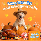 Dog Toys for Aggressive Chewers: Gift Box with 3 Pack Indestructible Dog Toy, Bacon Flavored Big Tough Chew Bones for Medium Large Breed 25-90lbs to Keep Them Busy, Birthday Holiday Dog Gift