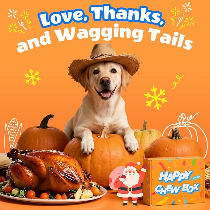 Dog Toys for Aggressive Chewers: Gift Box with 3 Pack Indestructible Dog Toy, Bacon Flavored Big Tough Chew Bones for Medium Large Breed 25-90lbs to Keep Them Busy, Birthday Holiday Dog Gift