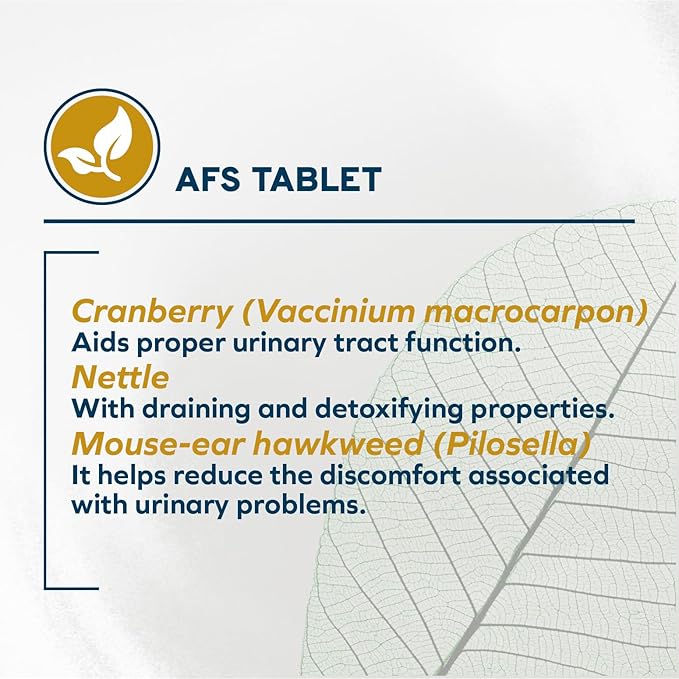 Forza10 - Cat Food, Limited Ingredient Cat Food for Urinary Health and UTI Support, Non-GMO, Fish Flavor, Made in Italy (0.88 lb)