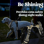 rabbitgoo Dog Harness Small Sized, No Pull Pet Harness with 3 Buckles, Adjustable Soft Padded Vest with Control Handle, Walking Reflective Pet Vest for Small Dogs, Beige, S