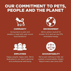 Go! Solutions Skin + Coat Care, Dry Dog Food, Large Breed Adult Salmon Recipe with Grains, 12 lb Bag