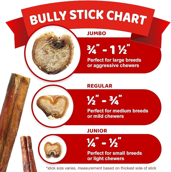Downtown Pet Supply 6-inch Bully Sticks for Dogs, Pack of 100 - Single Ingredient, Nutrient-Rich and Odor Free Bully Sticks for Dogs - Rawhide Free Dog Chews Long Lasting and Non-Splintering