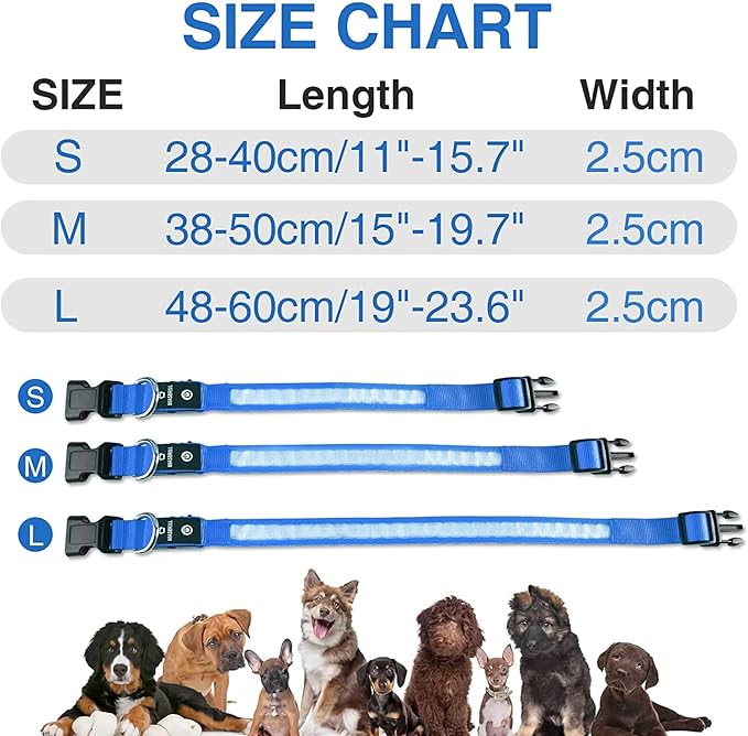 MASBRILL Led Dog Collar - Light Up, Night Walking, Water-Resistant Blue Glowing Collar 4 Colors to Choose From