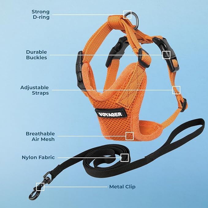 Voyager Escape-Proof Step-in Lock Cat Harness & 5ft Neoprene-Handle Leash Set All-Weather Mesh with Reflective Stitching for Small to Large Cats by Best Pet Supplies, Orange, S