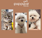 Puppytie No Pull Small Dog Harness with Multifunction Dog Leash,Lightweight Soft Adjustable No Choke Escape Proof Pet Harness Vest Pet Harness Vest,Glossy Oat Brown,S