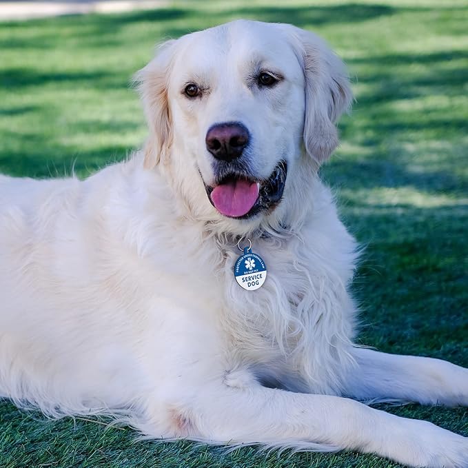 MYLUCKYTAG QR Code Stainless Steel Service Dog Tag - Engraved Digital ID, Location Alert