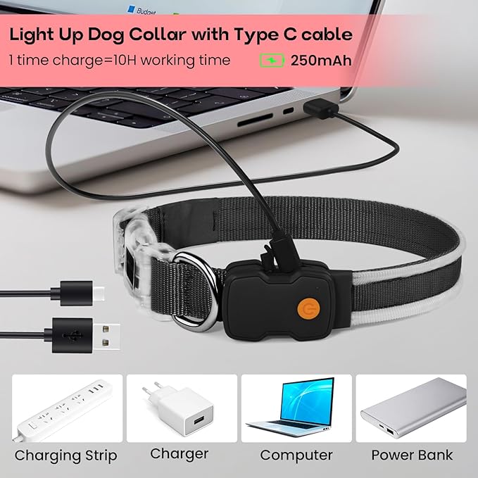 PcEoTllar Light up Dog Collars Rechargeable, LED Dog Collar Night Walking, Waterproof Flashing Glow in The Dark Dog Collars, Adjustable Dog Lights for Large Small Medium Dogs Red-m