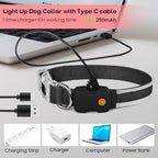 PcEoTllar Light up Dog Collars Rechargeable, LED Dog Collar Night Walking, Waterproof Flashing Glow in The Dark Dog Collars, Adjustable Dog Lights for Large Small Medium Dogs Red-s