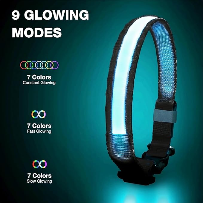 Pceotllar Light Up Collar - Rechargeable Led Dog Collar with Automatic 7-Color Changes, Water Resistant, Bright Glow for Night Walking (Black, M)