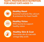 IAMS Perfect Portions Indoor Adult Grain Free Wet Cat Food Pate, Turkey Recipe, 2.6 oz. Twin-Pack Trays (24 Count, 48 Servings)