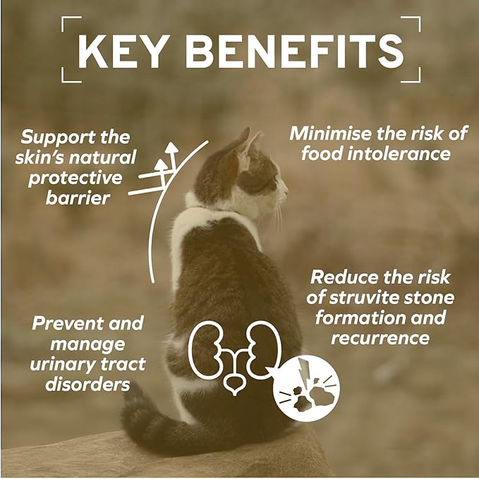 Forza10 - Cat Food, Urinary Tract Wet Cat Food, Non GMO, Vet-Approved UTI Support with Salmon Flavor, Made in Italy (3.5 oz, 32 Pack)