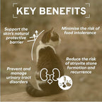 Forza10 - Cat Food, Urinary Tract Wet Cat Food, Non GMO, Vet-Approved UTI Support with Salmon Flavor, Made in Italy (3.5 oz, 32 Pack)