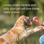 pawTree Natural Allergy Support Plus for Dogs-Ideal for Itching, Irritated Skin, Seasonal and Food Allergies, Hot Spots. Supplement Your pet Will Love. Small Chews for Pets - 60 Count (Small)