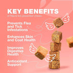 Flea Treatment for Cats - Daily Oral Cat Flea and Tick Chews - Chewable Tick Treatment Supplement for Kittens - Skin & Coat, Digestive Health Supplement - Alternative to Collars, Combs, Shampoos