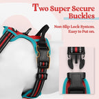 rabbitgoo Dog Harness No Pull with 2 Leash Clips, Adjustable Soft Padded, Reflective Oxford No Choke Pet Vest with Easy Control Handle for Medium Sized Dogs, Red & Teal, M