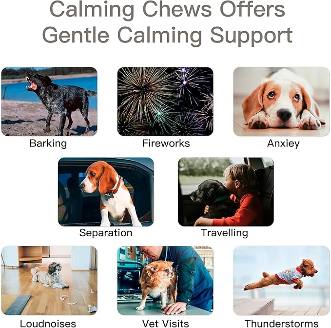 Advanced Calming Chews for Dogs, Dog Calming Chews - Anxiety Relief Treats and Bites for Dogs - Separation, Barking, Thunder, Noise, Stress, Pet Supplement, All Ages & Sizes - (Chicken 240 Ct)