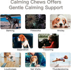 Advanced Calming Chews for Dogs, Dog Calming Chews - Anxiety Relief Treats and Bites for Dogs - Separation, Barking, Thunder, Noise, Stress, Pet Supplement, All Ages & Sizes - (Lamb 120 Ct)
