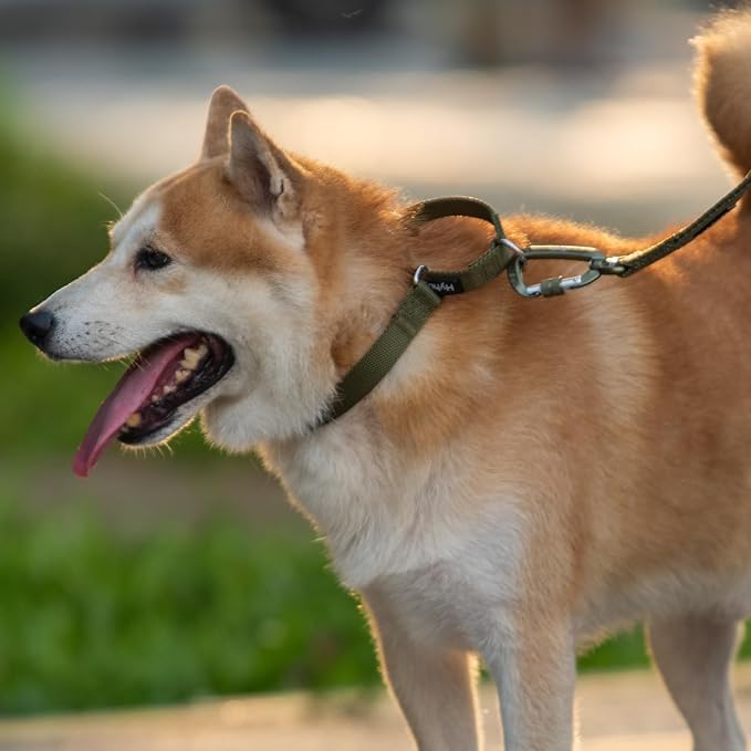 Hyhug Martingale Collar for Dogs Large Green |Escape - Proof Heavy Duty Nylon Durable No Pull, Ideal for Training & Daily Walks