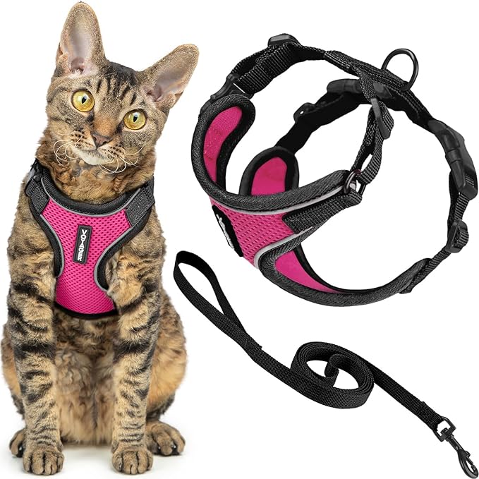 Voyager Escape-Proof Step-in Lock Cat Harness & 5ft Neoprene-Handle Leash Set All-Weather Mesh with Reflective Stitching for Small to Large Cats by Best Pet Supplies, Black Trim-Fuchsia (327), XXXS