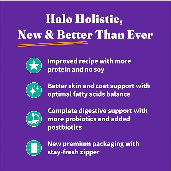 Halo Holistic Vegan Dog Food, Plant-Based Recipe with Kelp, Dry Dog Food, Complete Digestive Health, Kibble for Adult Dogs, 10 lb Bag