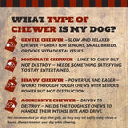 Giant Dog Bone for Aggressive Chewers, Large and Medium Breed Dog Treat, Natural, Tough, Chew Toy, Made in The USA, 1 Count